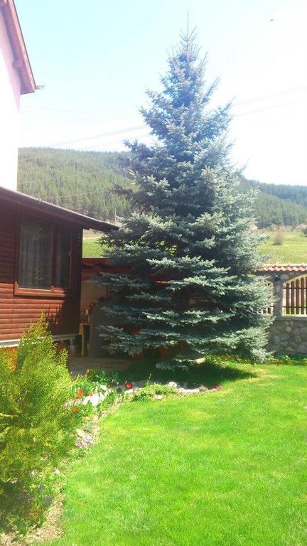 Guest House Diva Reka Beli Iskar Exterior photo